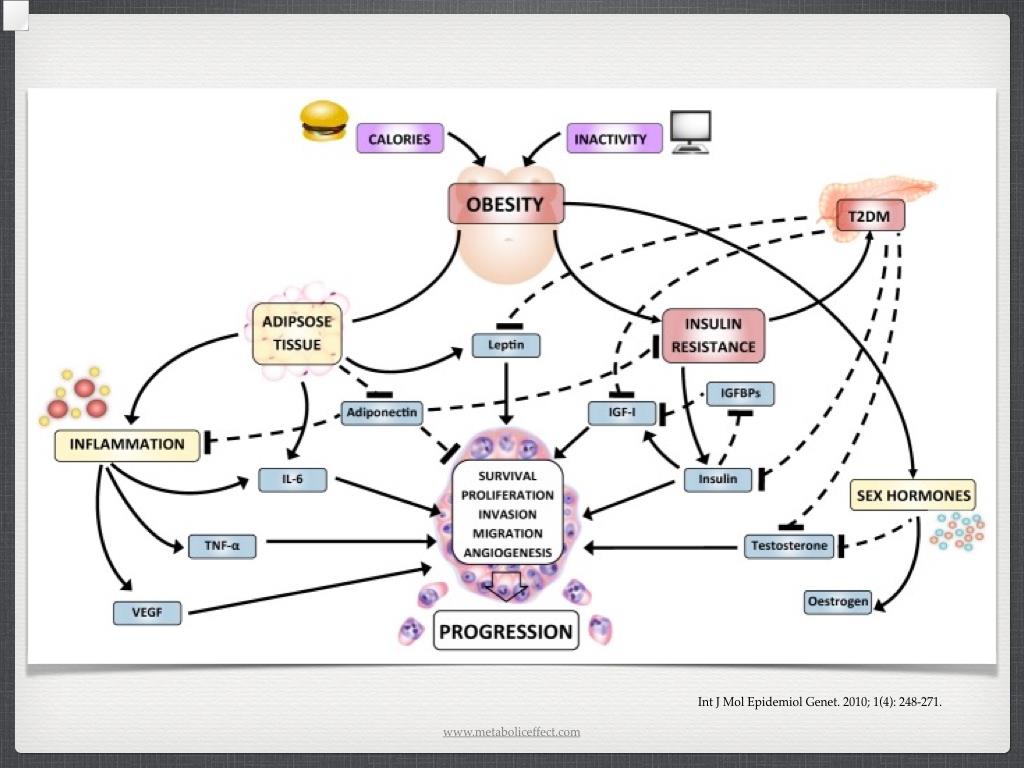 Beyond androgen deprivation: ancillary integrative strategies for targeting the androgen receptor addiction of prostate cancer